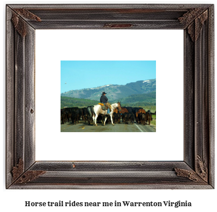 horse trail rides near me in Warrenton, Virginia